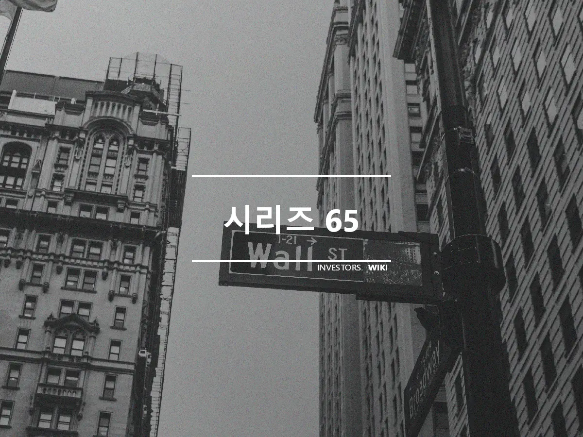 시리즈 65