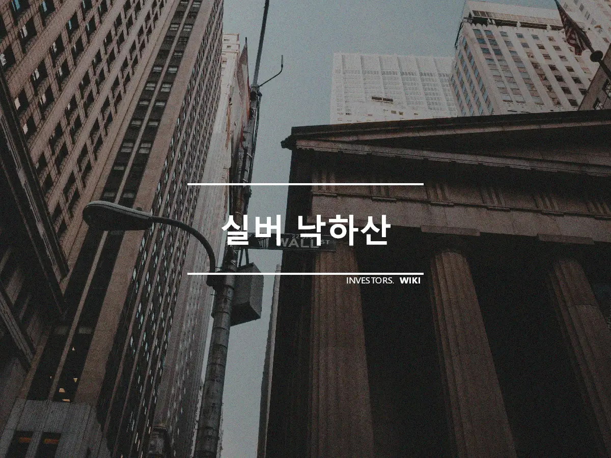 실버 낙하산