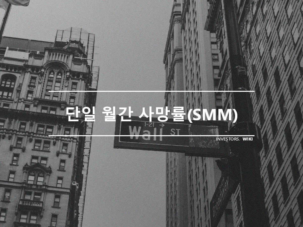 단일 월간 사망률(SMM)