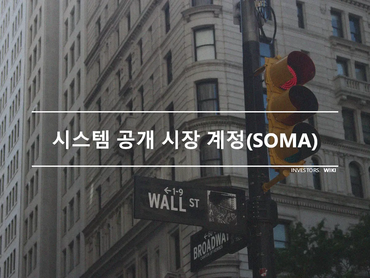 시스템 공개 시장 계정(SOMA)