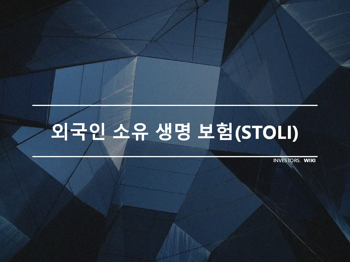 외국인 소유 생명 보험(STOLI)