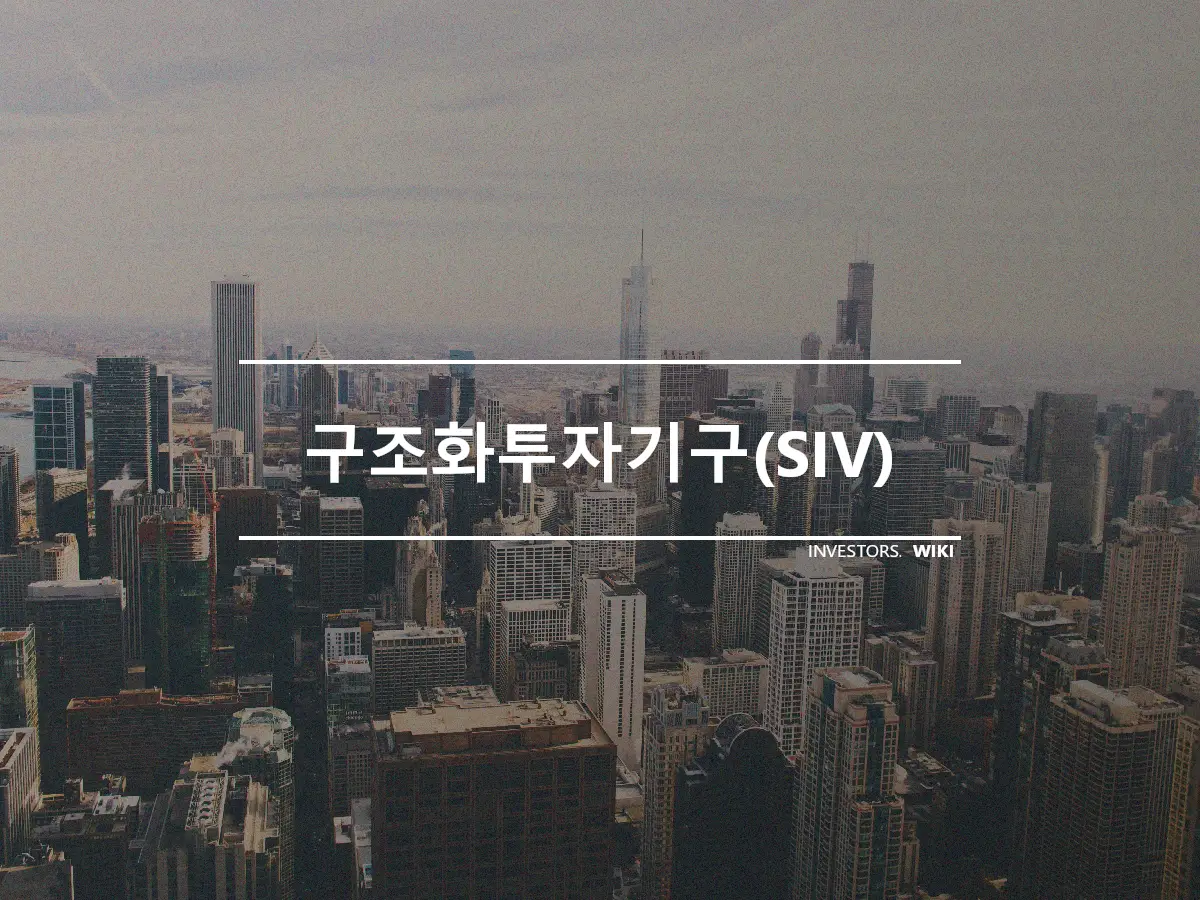 구조화투자기구(SIV)