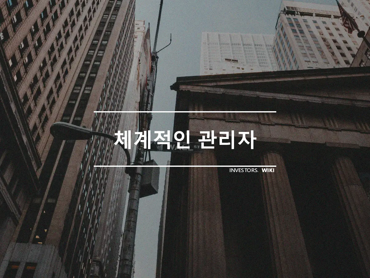 체계적인 관리자