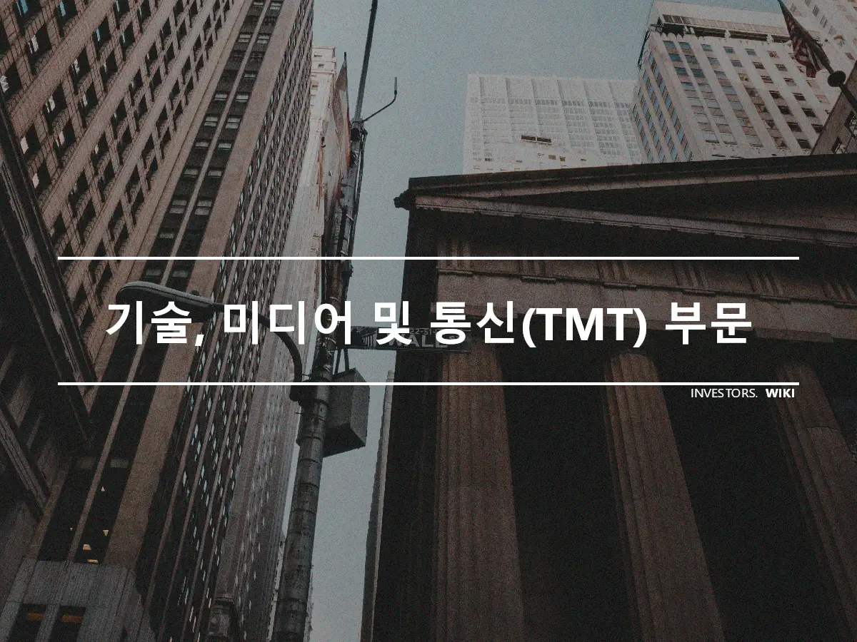 기술, 미디어 및 통신(TMT) 부문