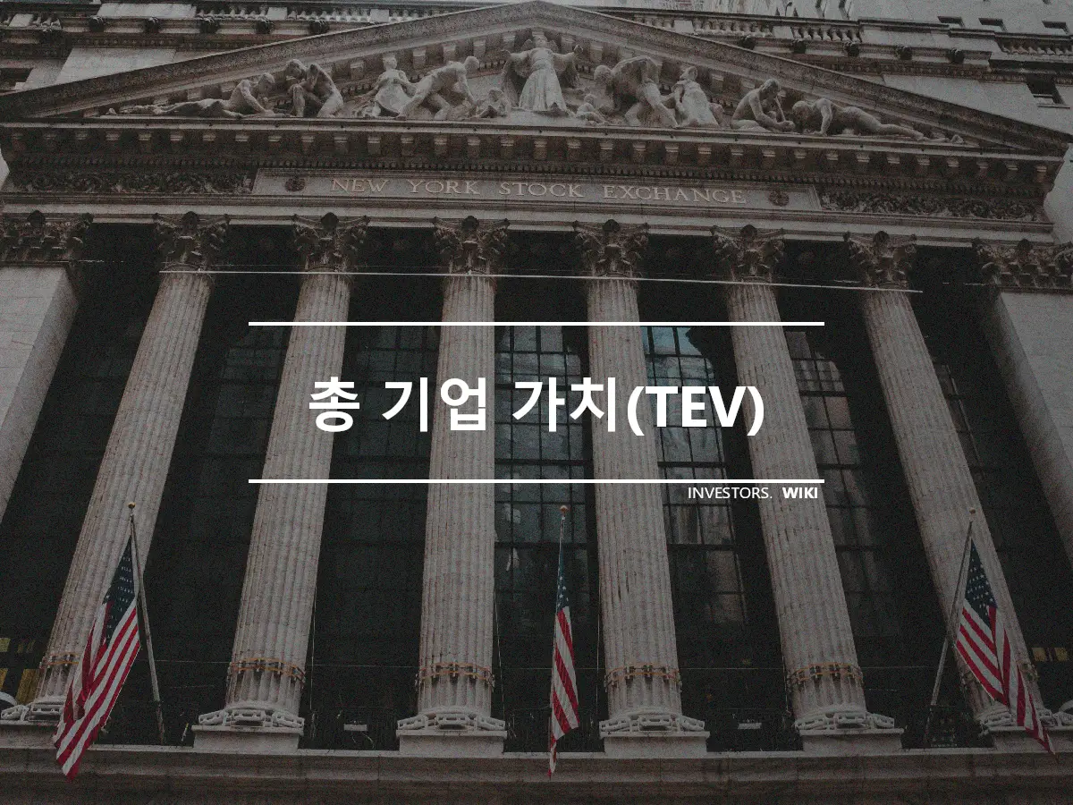 총 기업 가치(TEV)