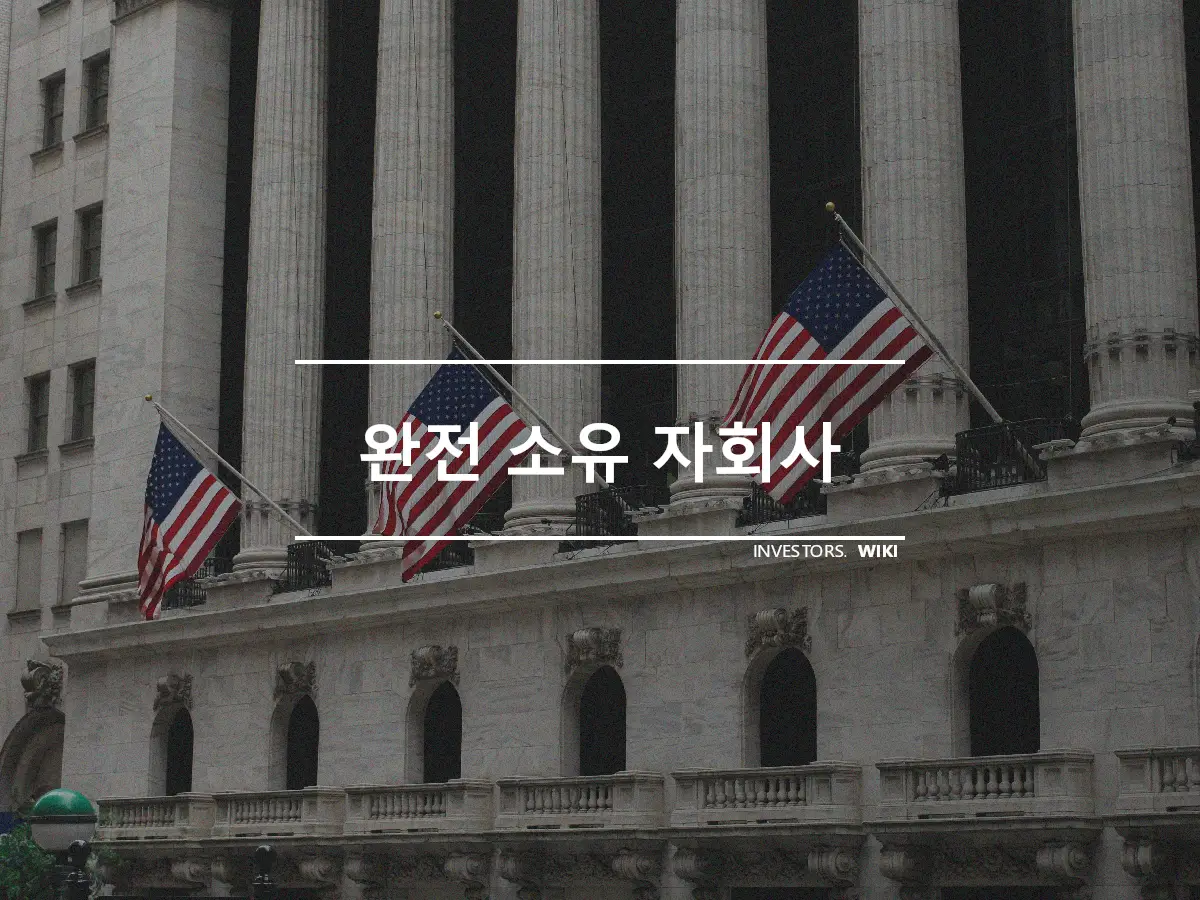 완전 소유 자회사
