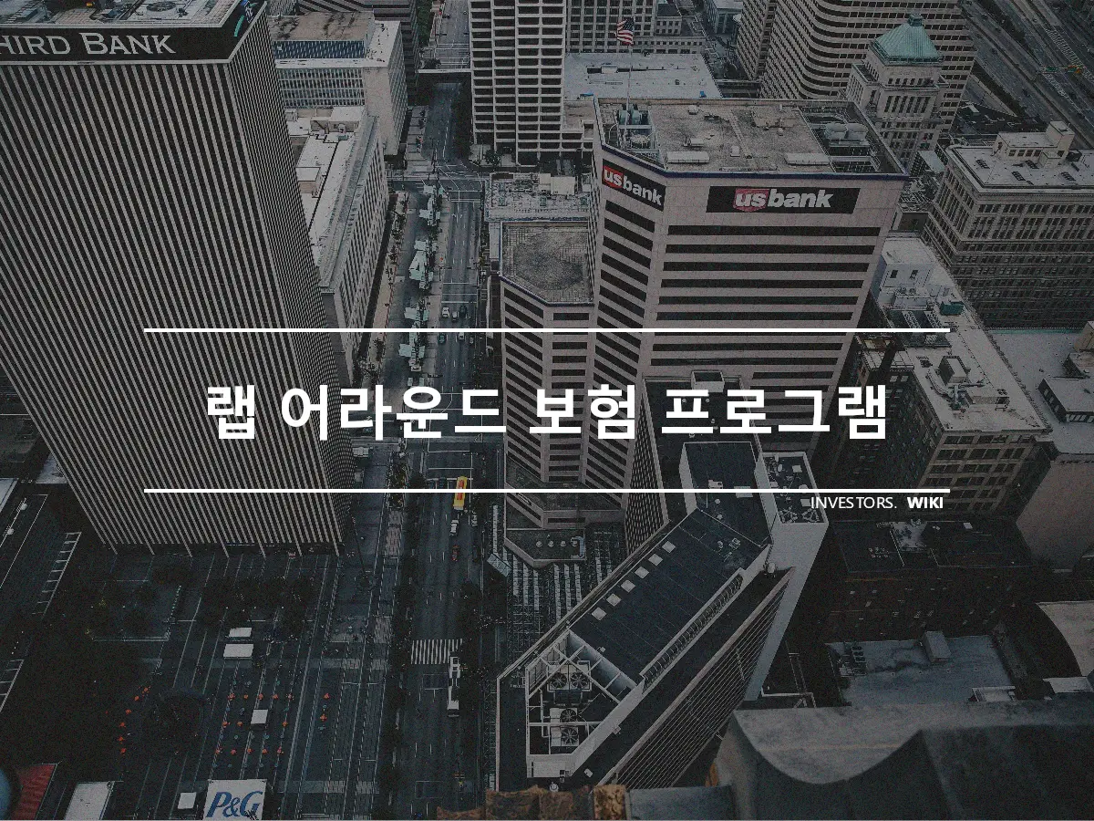 랩 어라운드 보험 프로그램