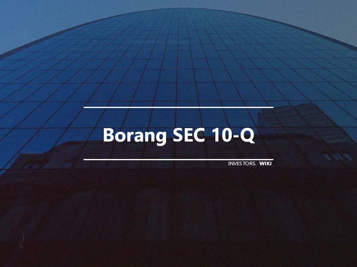 Borang SEC 10-Q