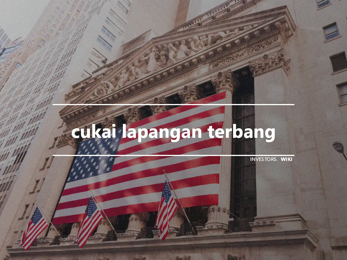 cukai lapangan terbang