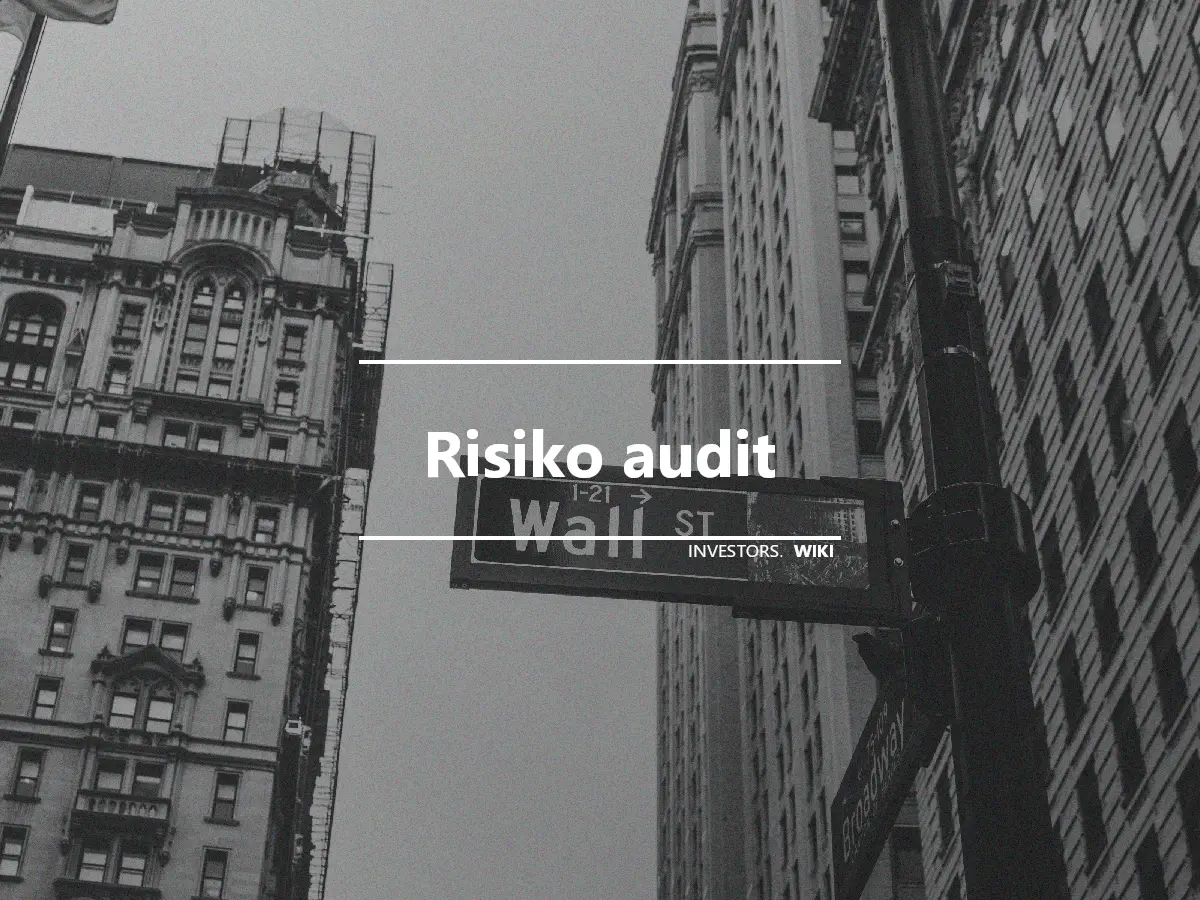 Risiko audit
