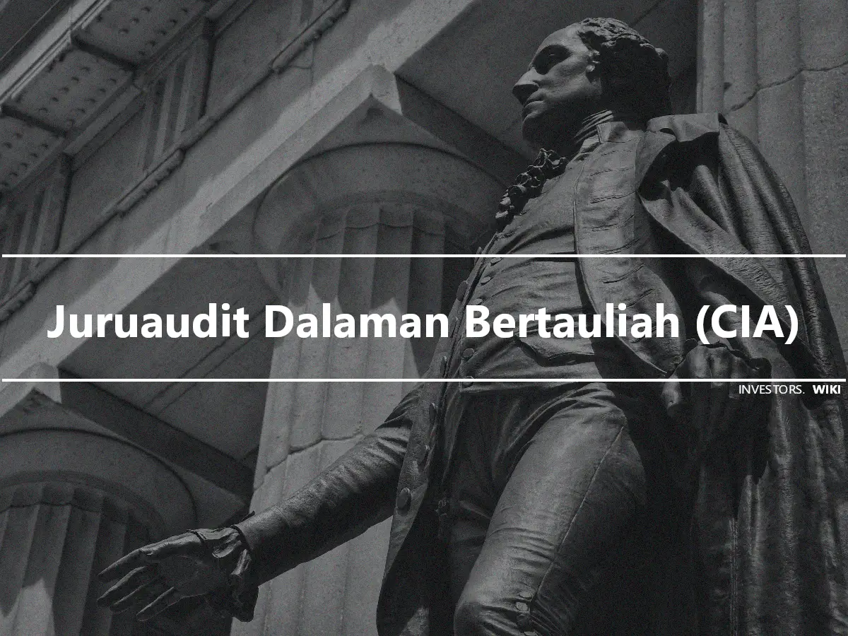 Juruaudit Dalaman Bertauliah (CIA)