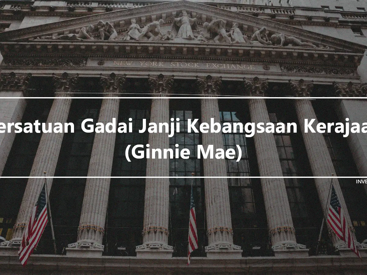 Persatuan Gadai Janji Kebangsaan Kerajaan (Ginnie Mae)