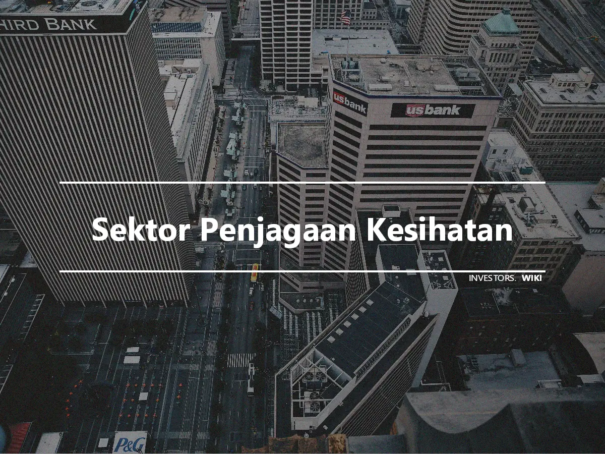 Sektor Penjagaan Kesihatan