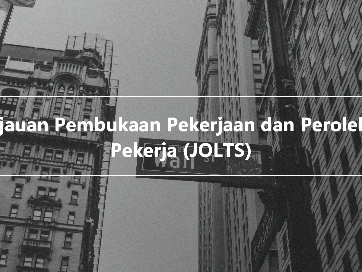 Tinjauan Pembukaan Pekerjaan dan Perolehan Pekerja (JOLTS)