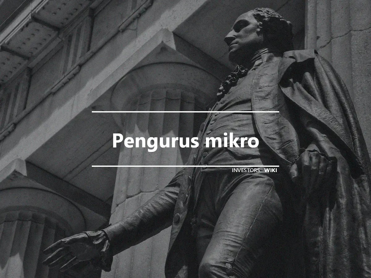 Pengurus mikro