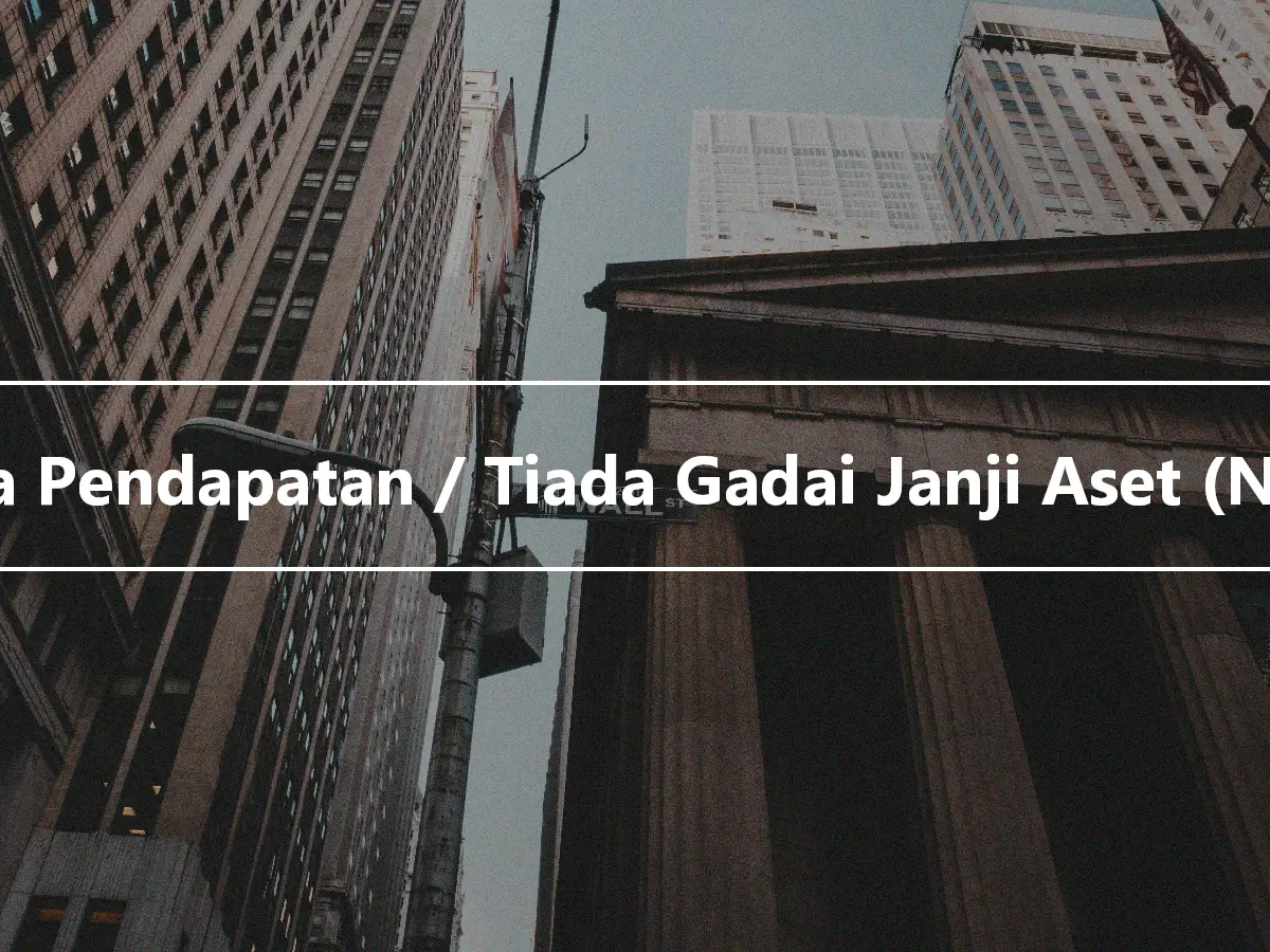 Tiada Pendapatan / Tiada Gadai Janji Aset (NINA)