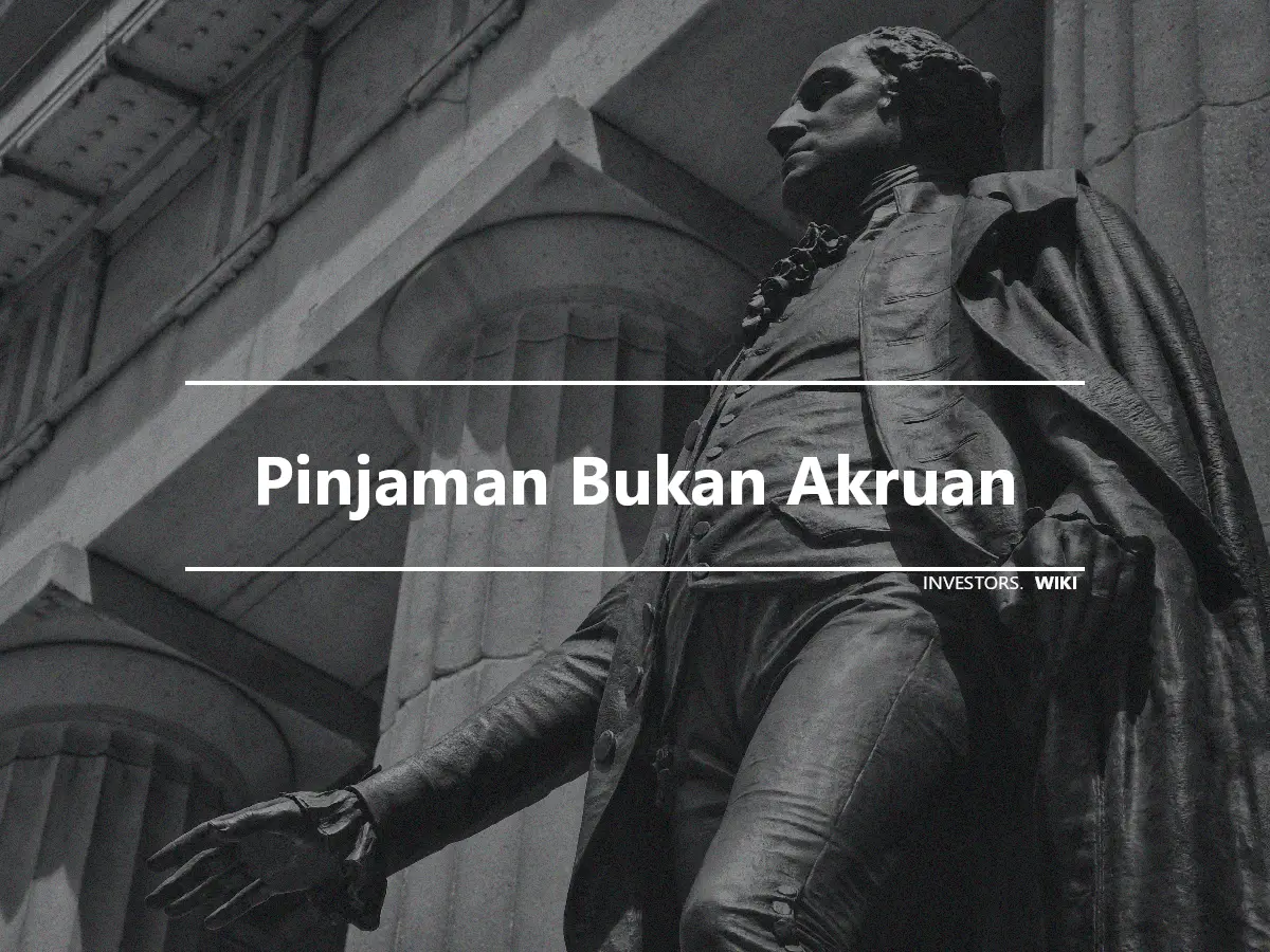 Pinjaman Bukan Akruan