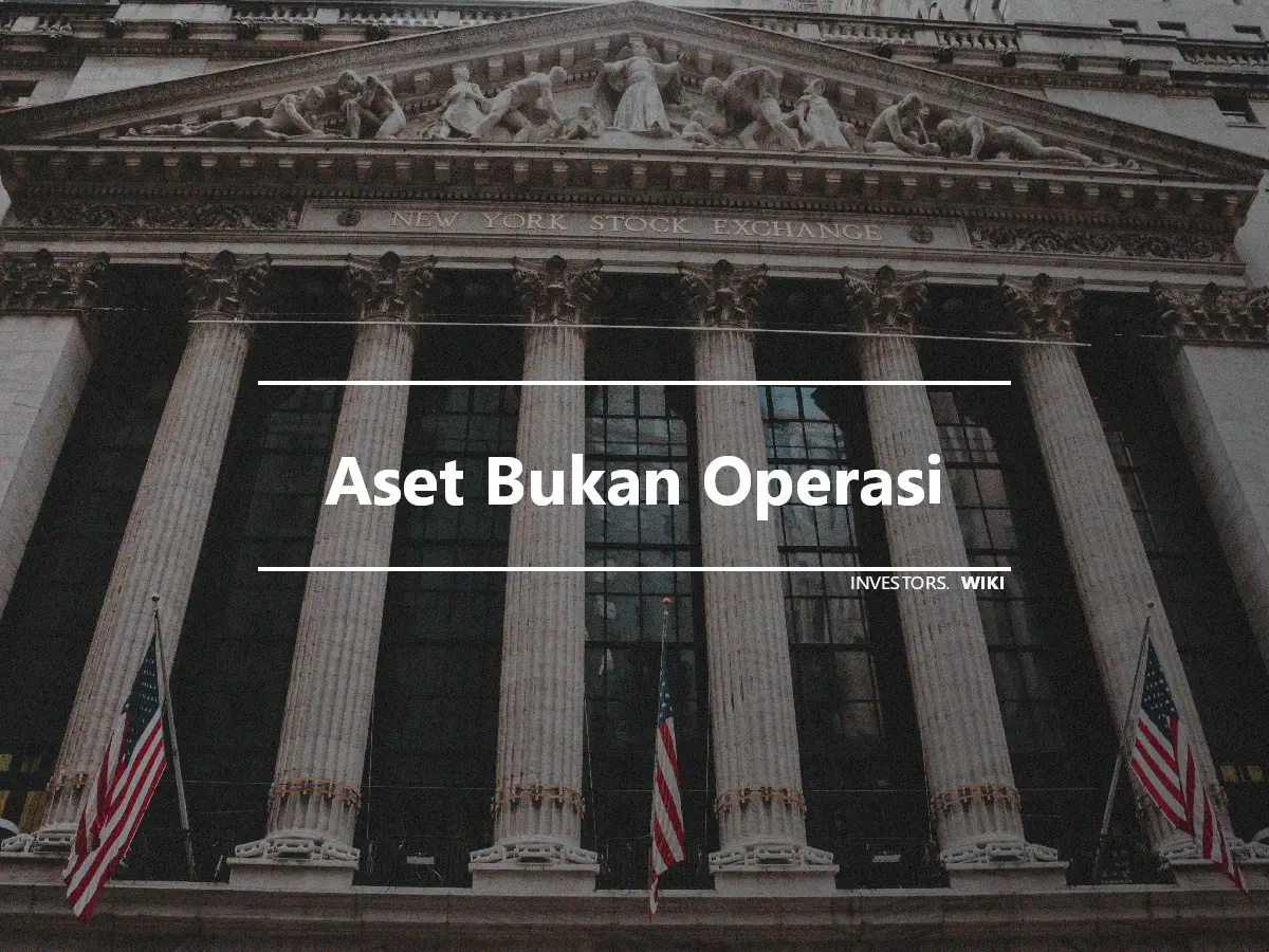 Aset Bukan Operasi