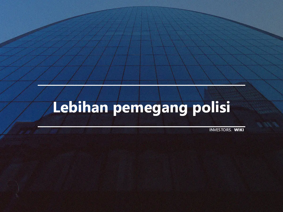 Lebihan pemegang polisi