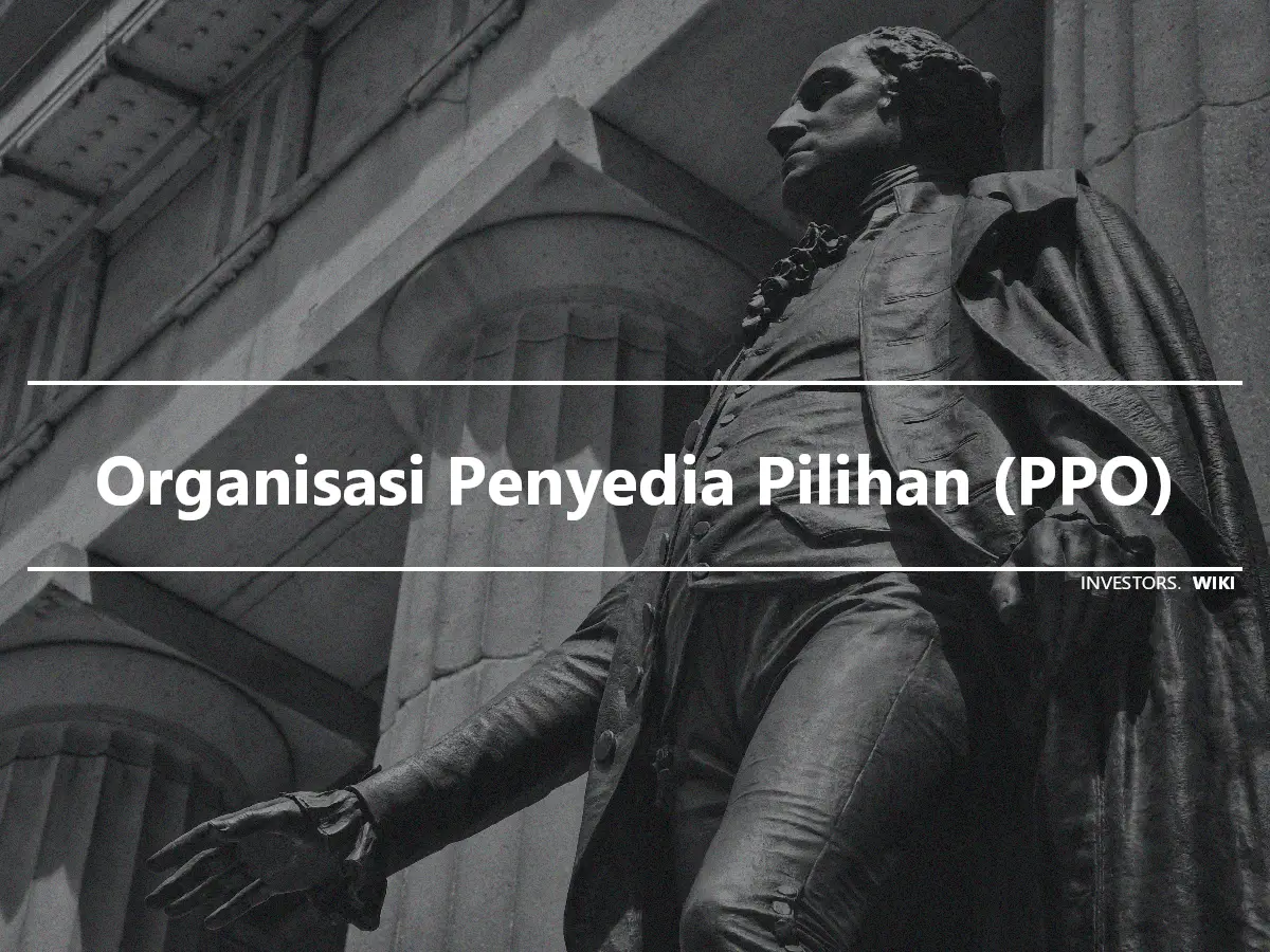 Organisasi Penyedia Pilihan (PPO)