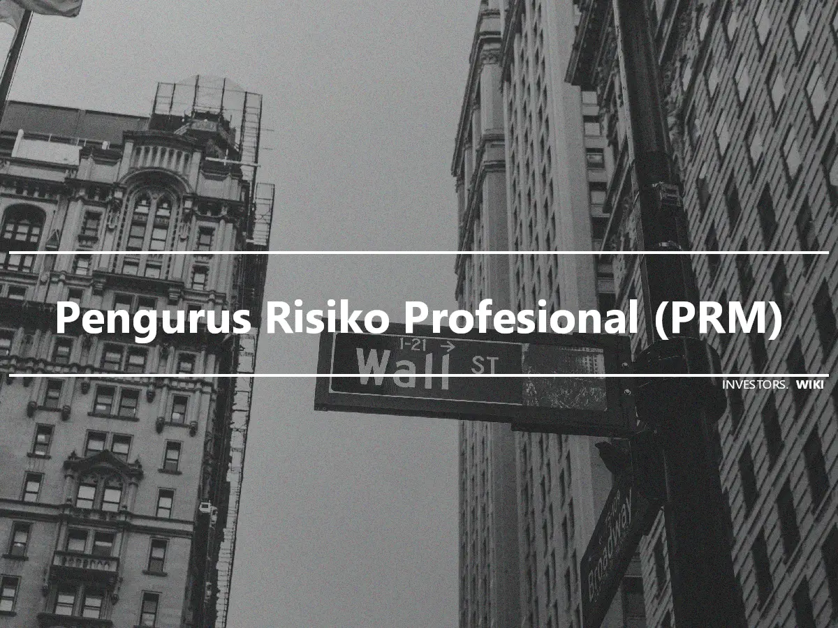 Pengurus Risiko Profesional (PRM)