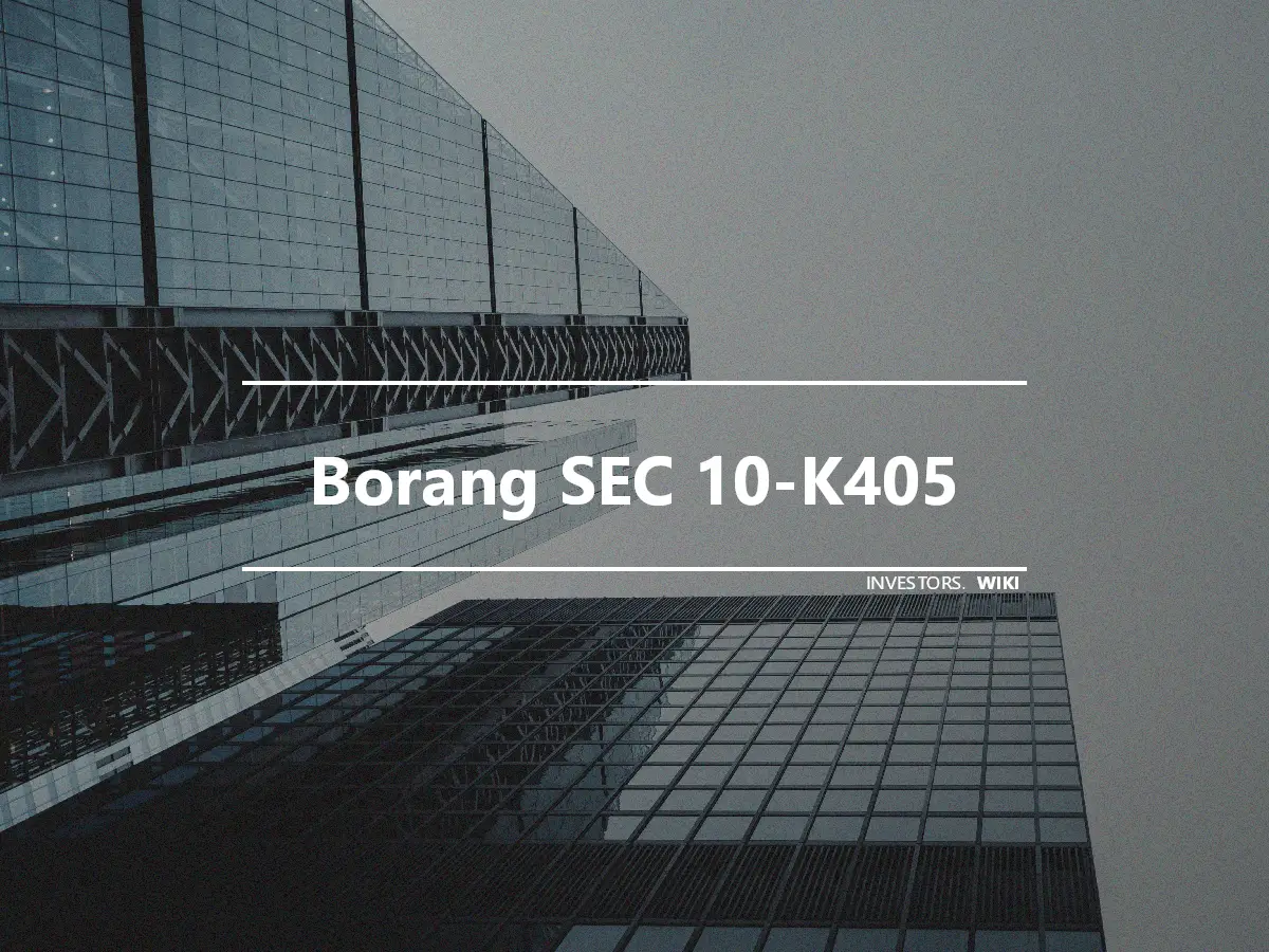 Borang SEC 10-K405