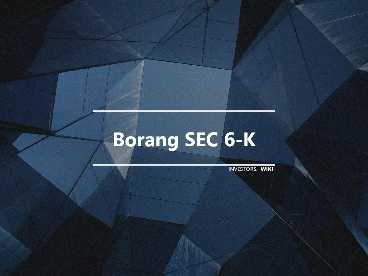 Borang SEC 6-K