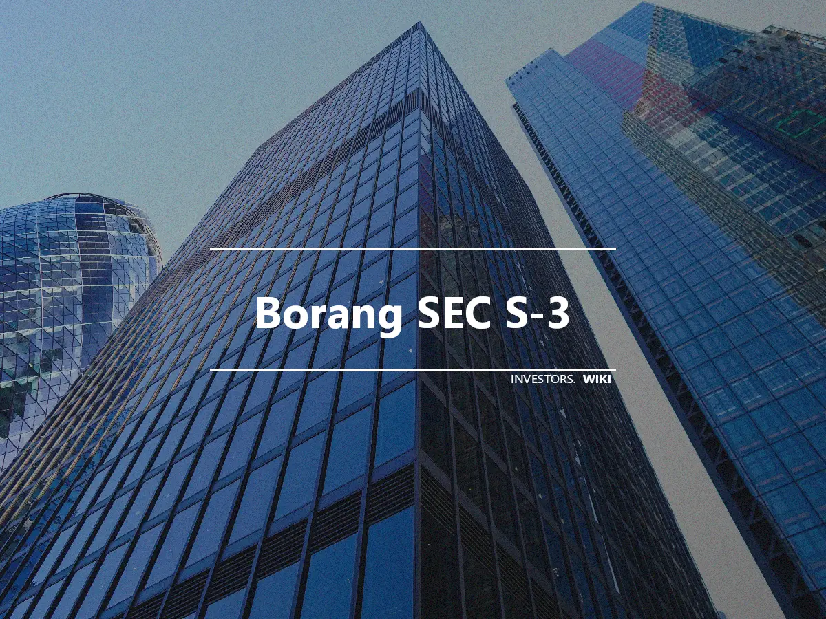 Borang SEC S-3