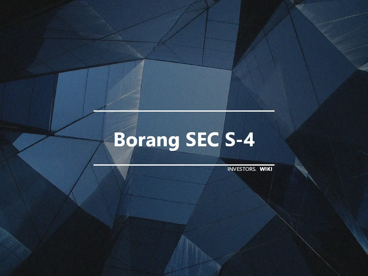 Borang SEC S-4