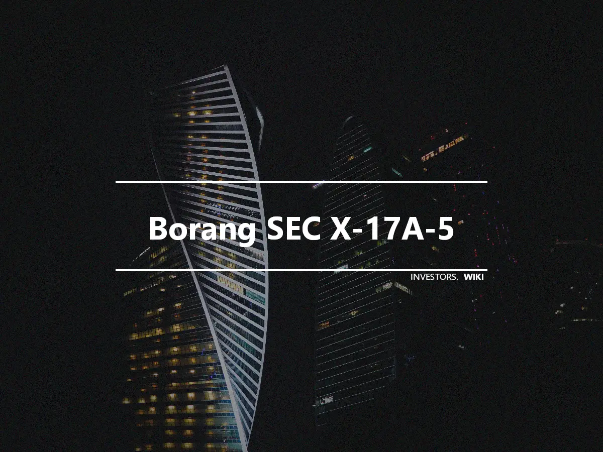 Borang SEC X-17A-5