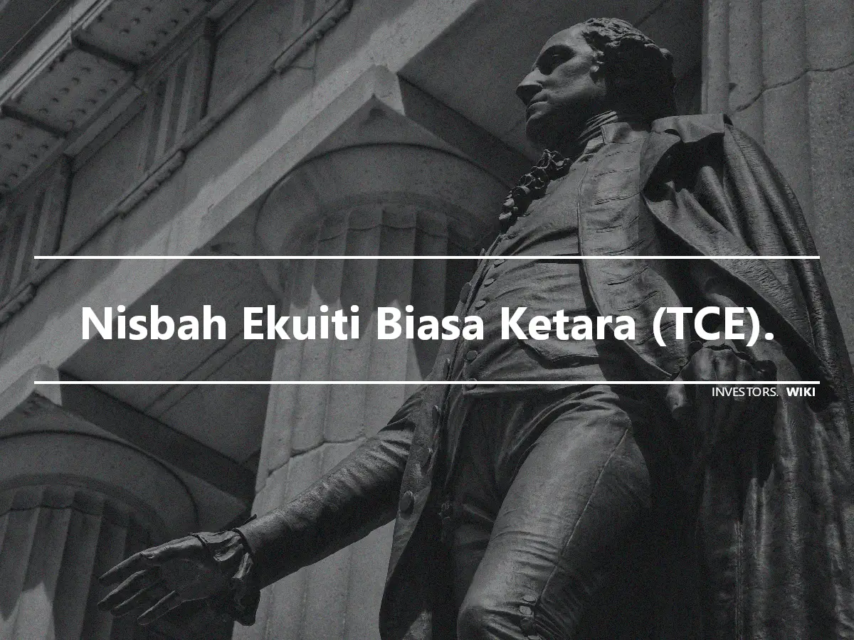 Nisbah Ekuiti Biasa Ketara (TCE).