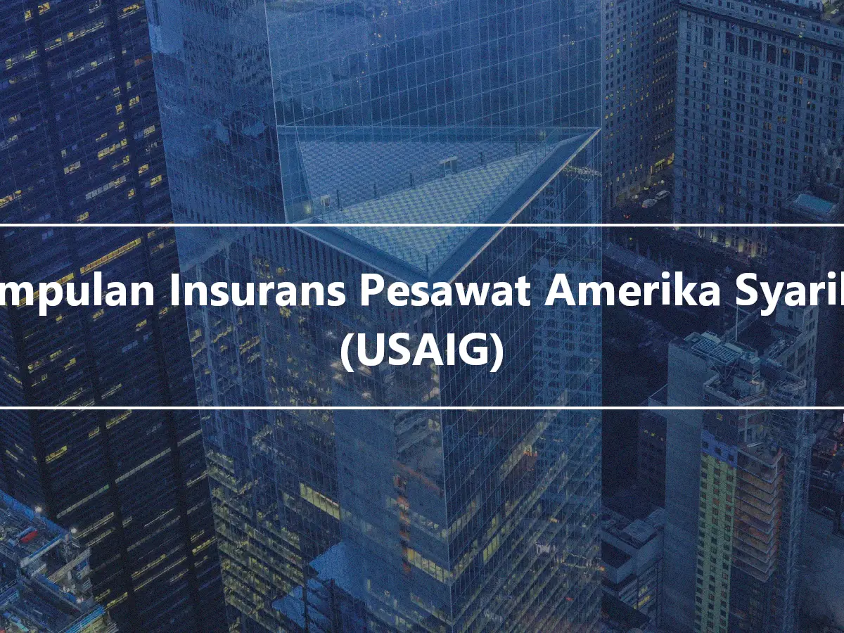 Kumpulan Insurans Pesawat Amerika Syarikat (USAIG)