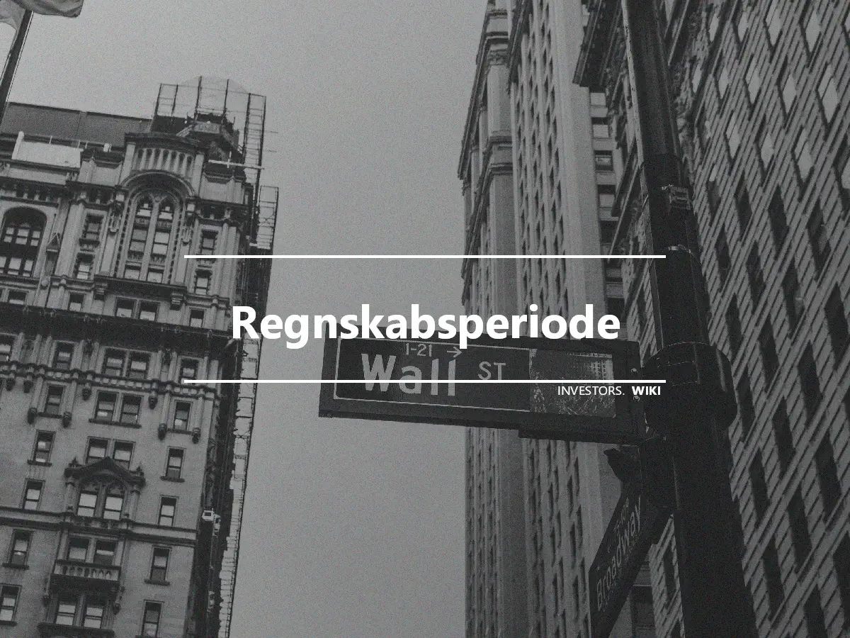 Regnskabsperiode