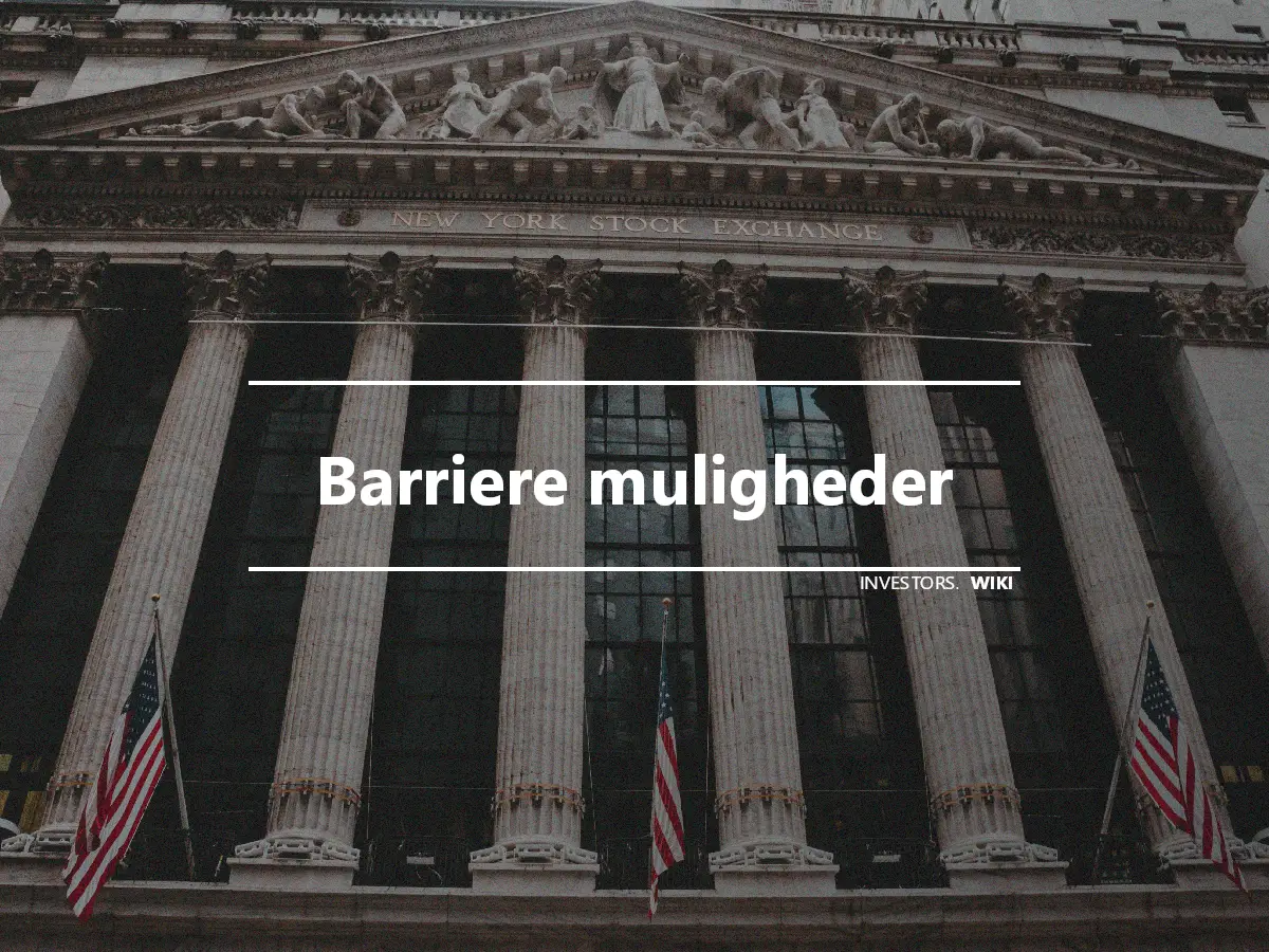 Barriere muligheder