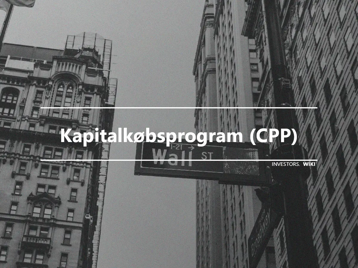 Kapitalkøbsprogram (CPP)