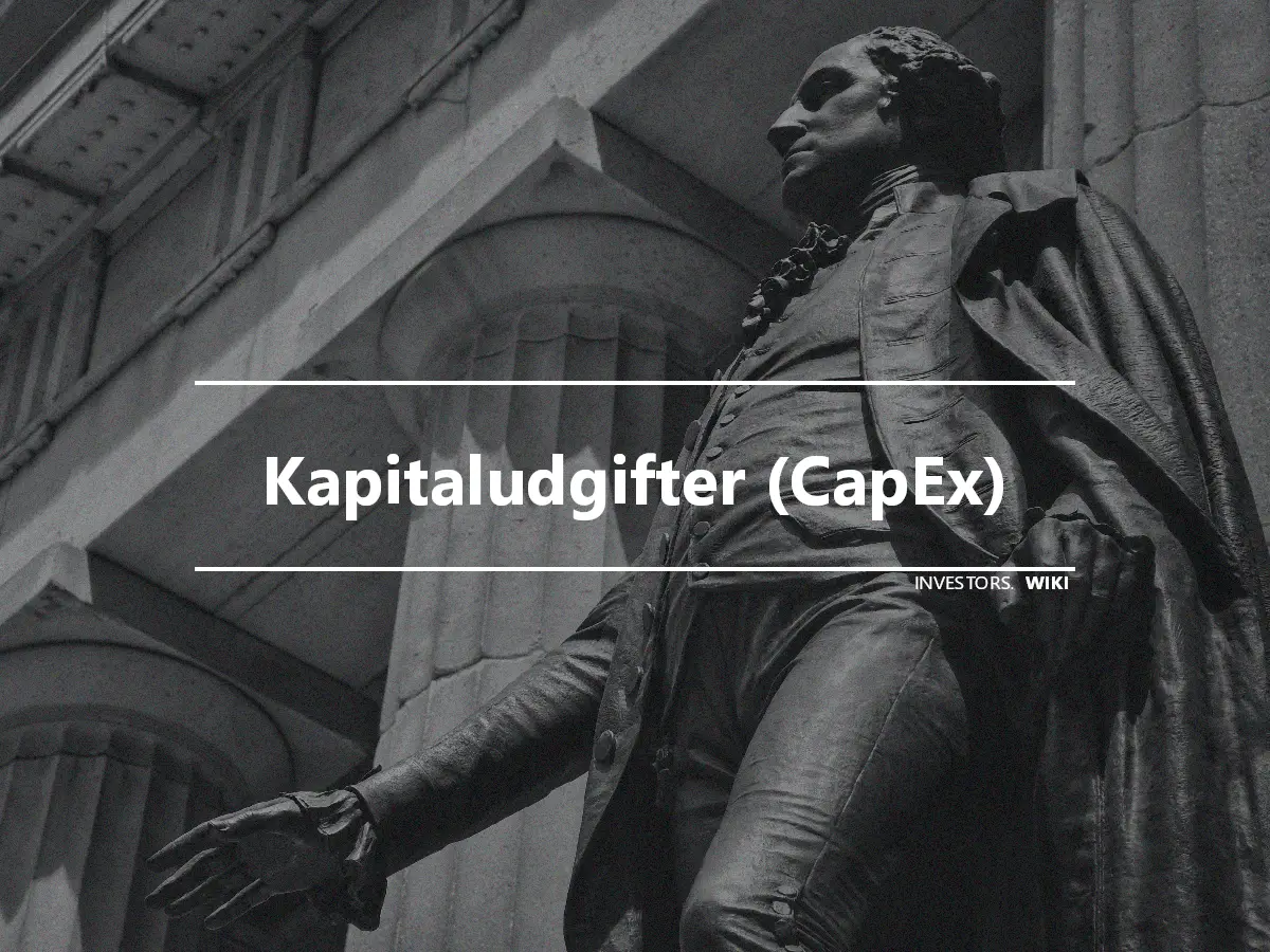 Kapitaludgifter (CapEx)