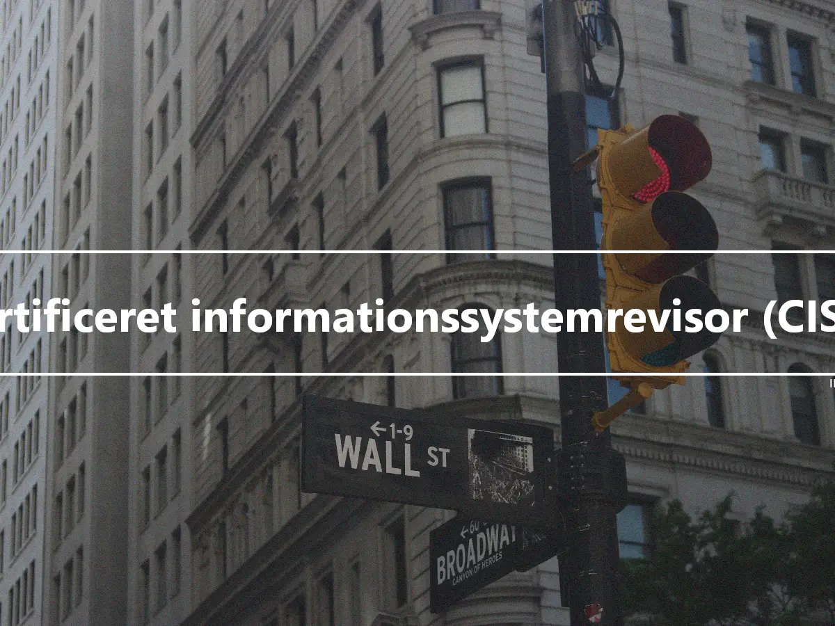 Certificeret informationssystemrevisor (CISA)