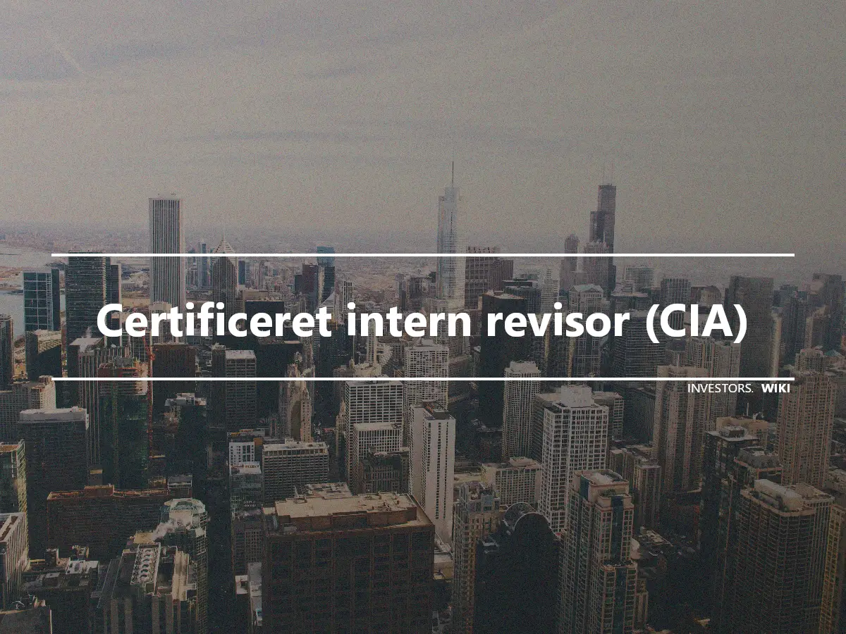 Certificeret intern revisor (CIA)
