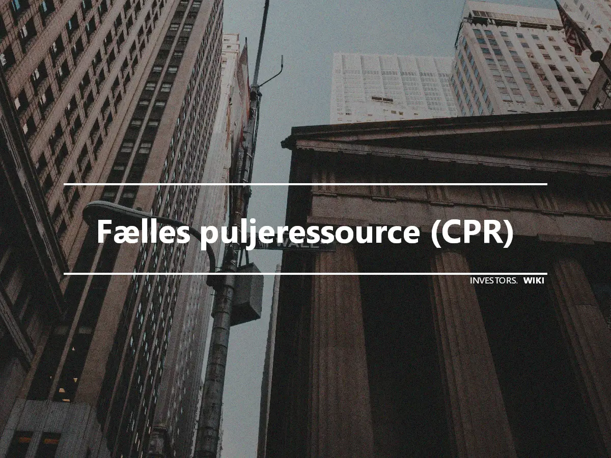 Fælles puljeressource (CPR)