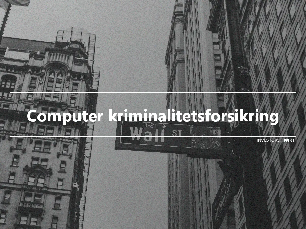 Computer kriminalitetsforsikring