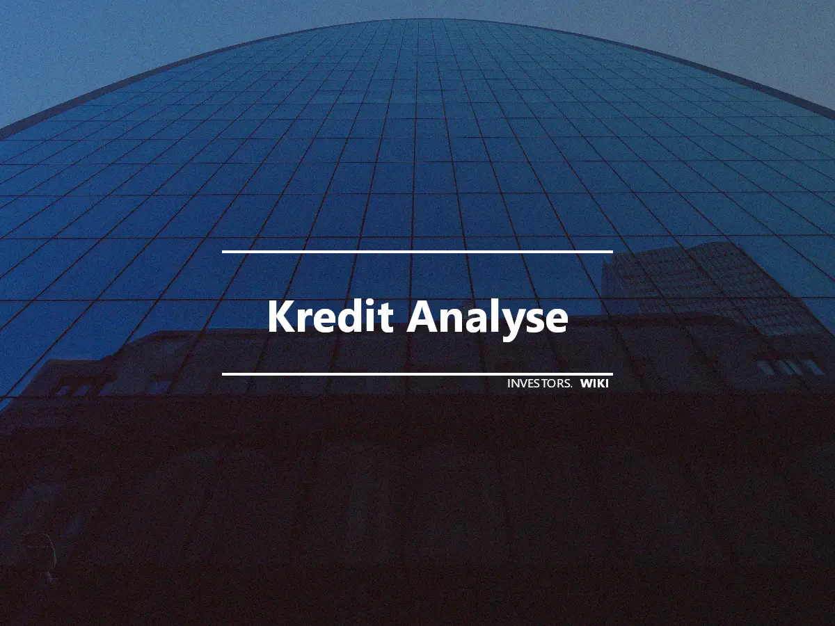 Kredit Analyse