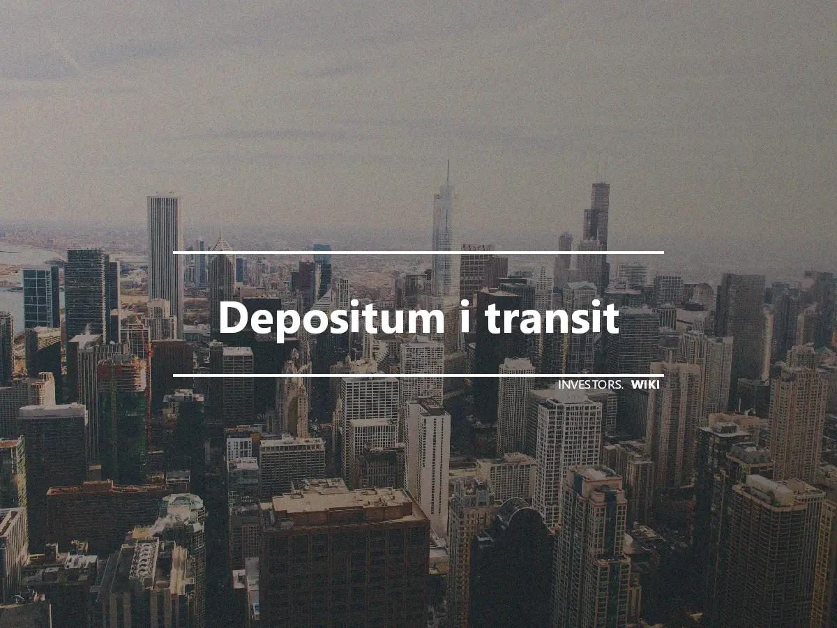 Depositum i transit