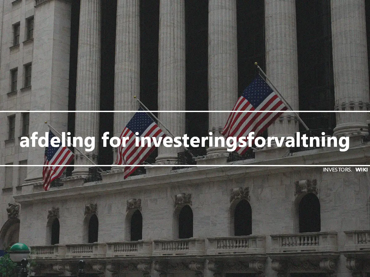 afdeling for investeringsforvaltning