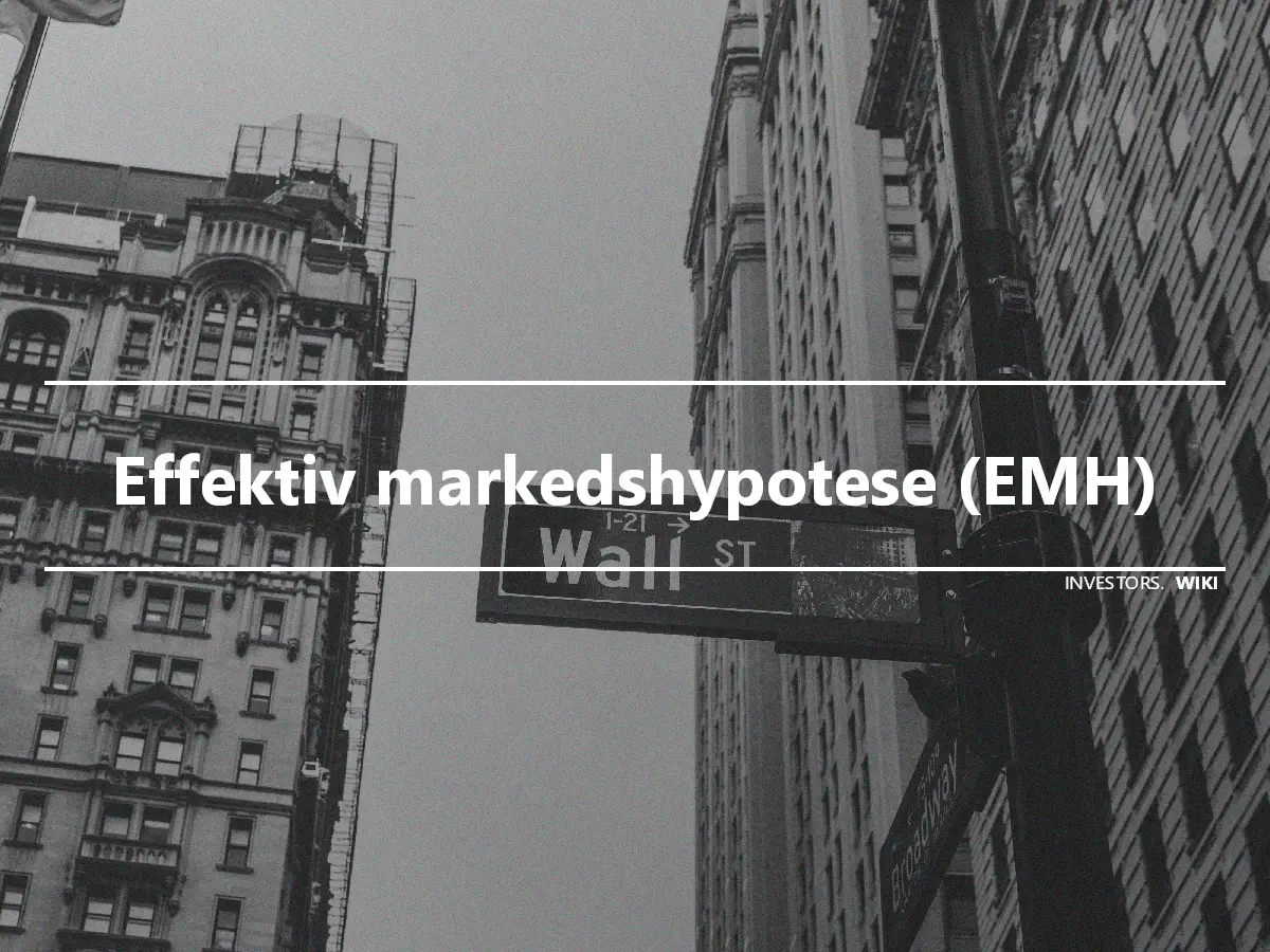 Effektiv markedshypotese (EMH)