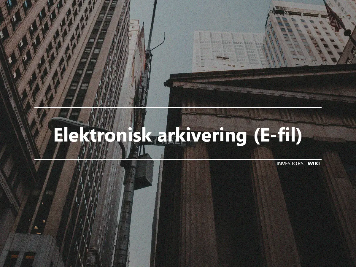 Elektronisk arkivering (E-fil)