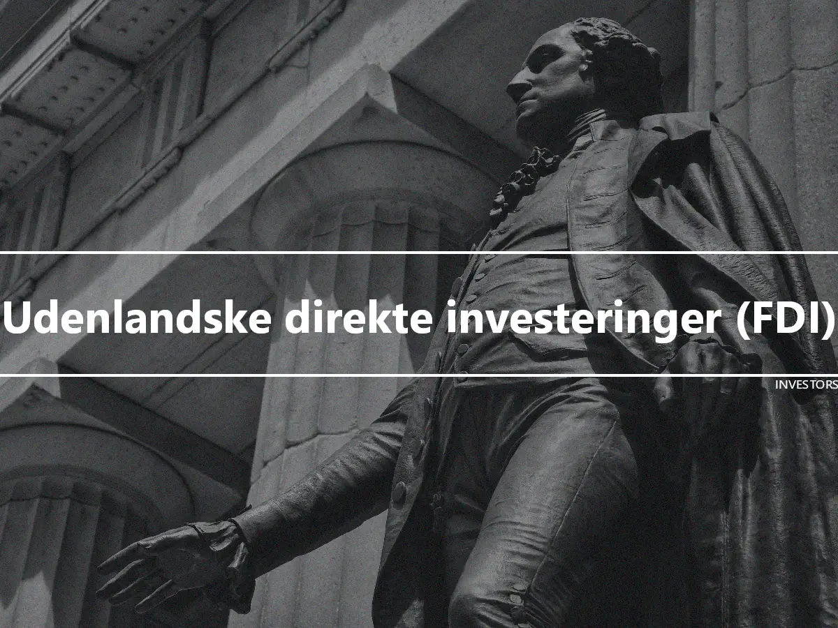 Udenlandske direkte investeringer (FDI)