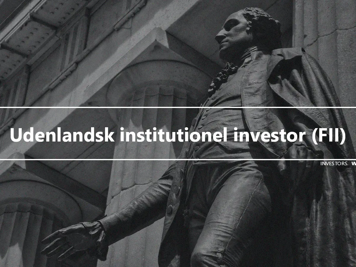 Udenlandsk institutionel investor (FII)