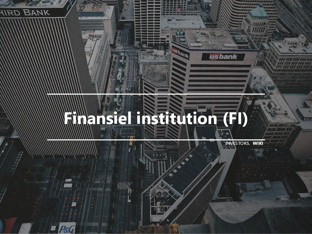 Finansiel institution (FI)