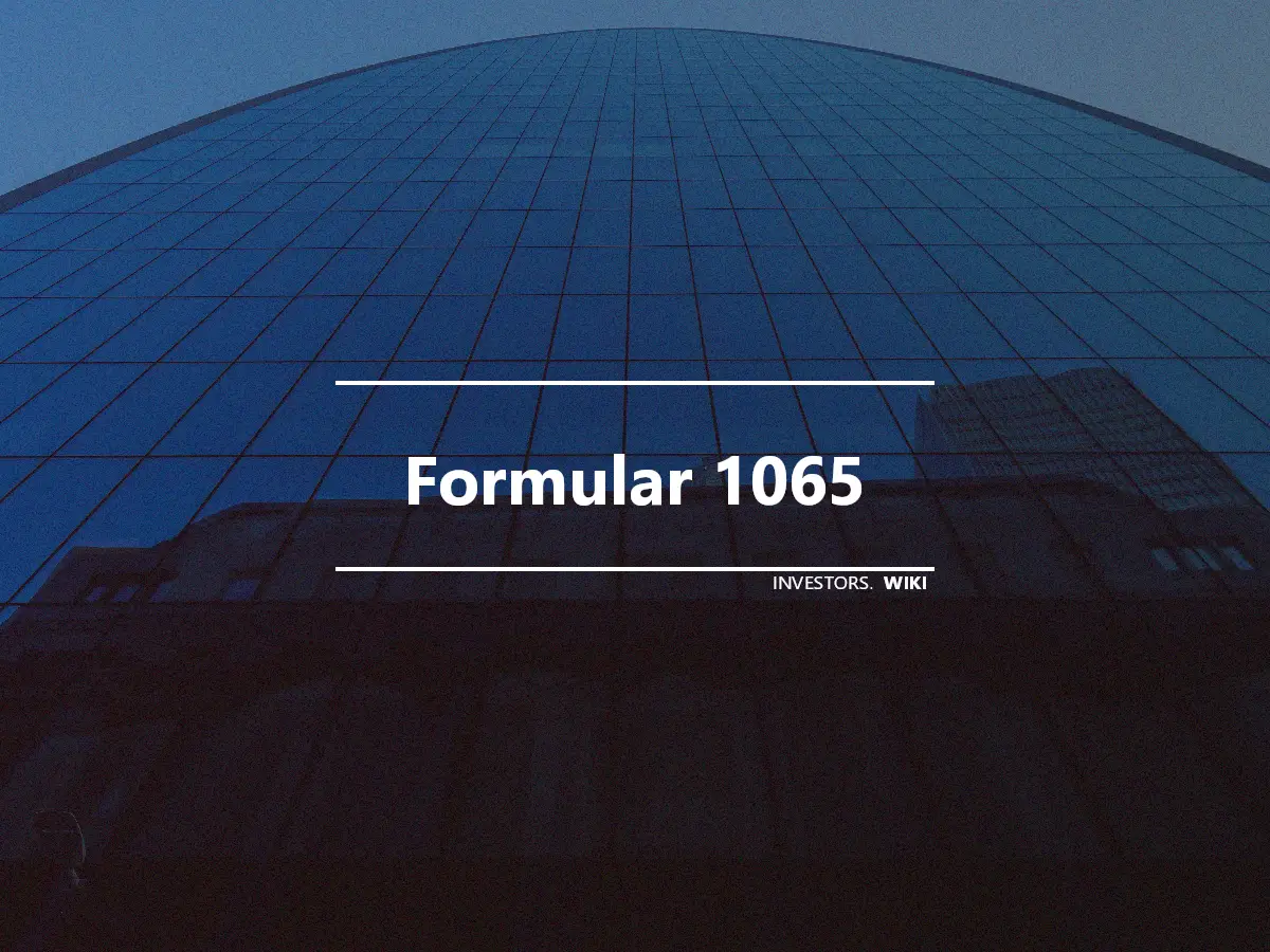 Formular 1065