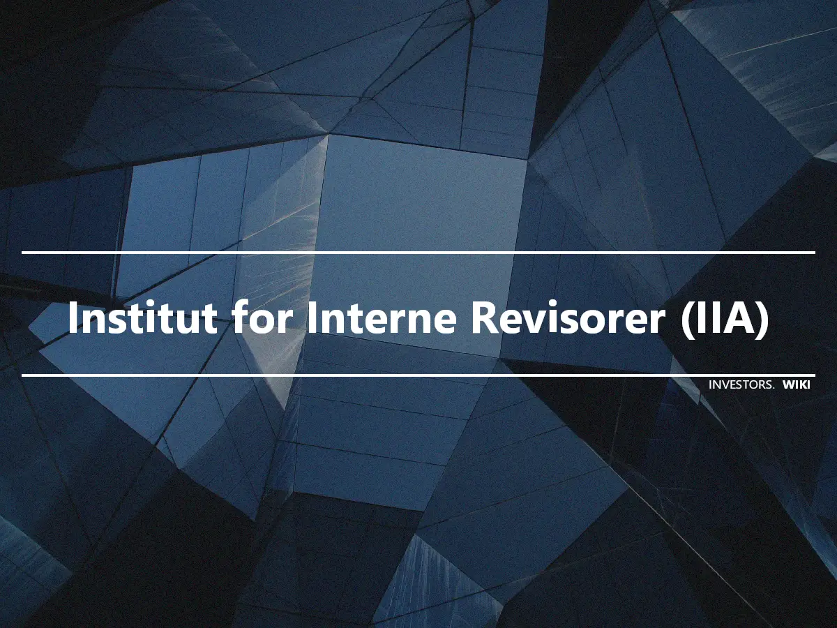 Institut for Interne Revisorer (IIA)